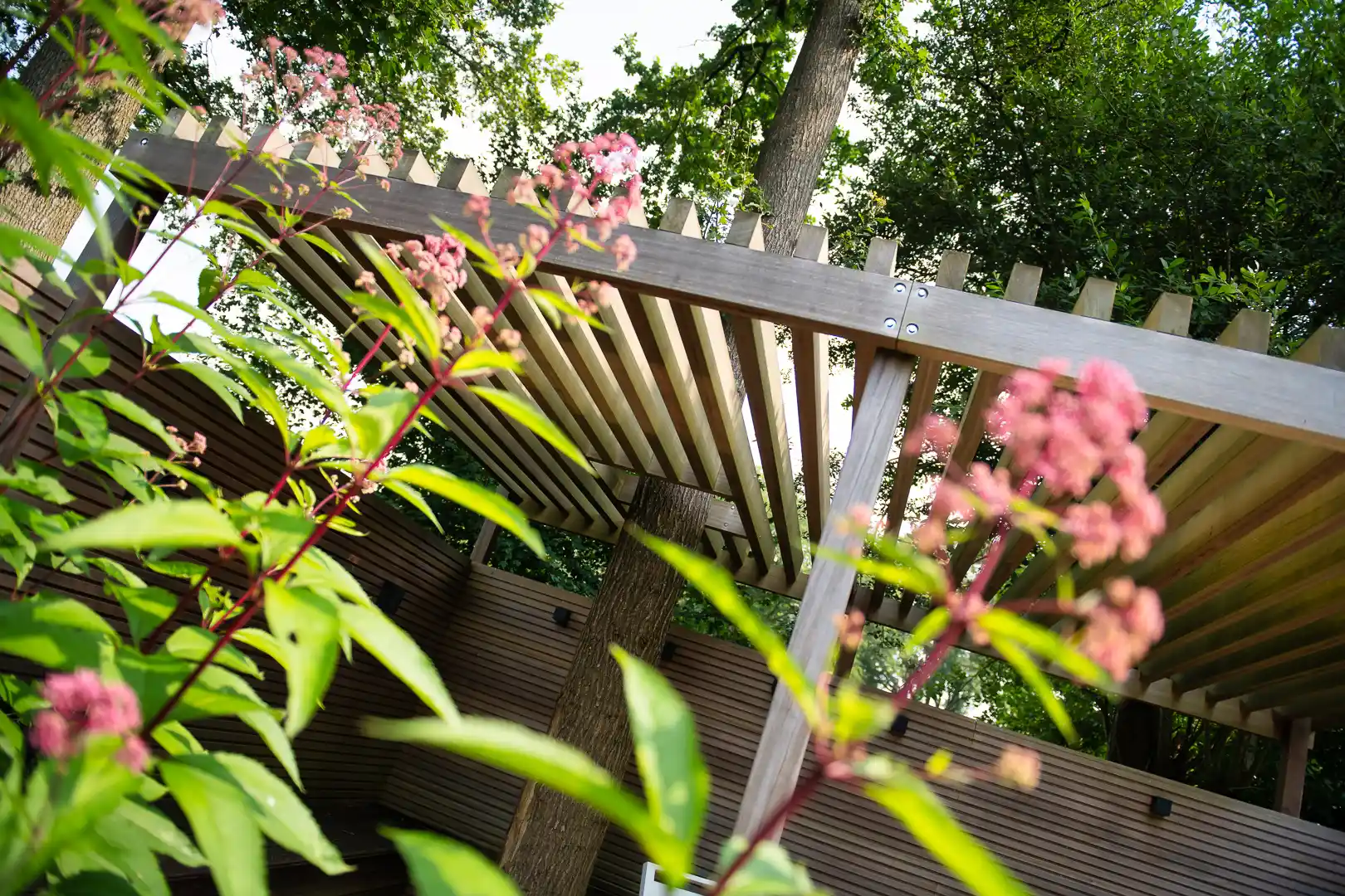 Wintergroen: deze planten zorgen voor sfeer in de koudste maanden